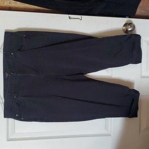 Talbots Capri pants